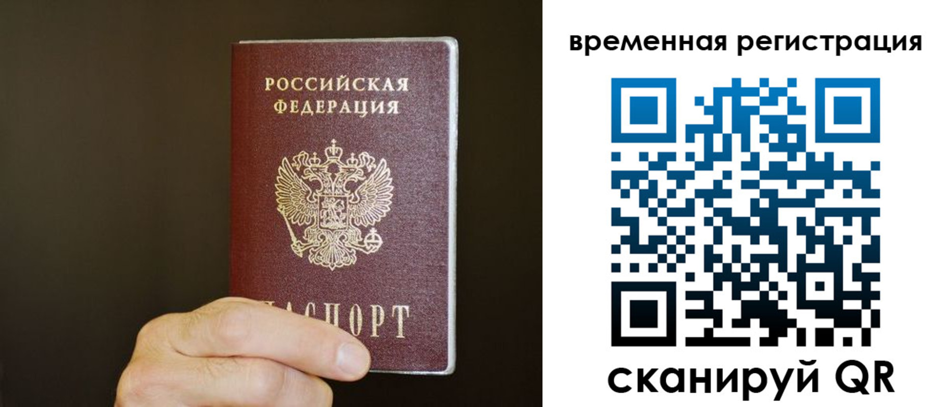 прописка гарантия в Чебоксарах
